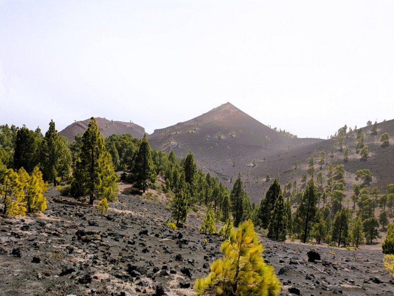Volcán de Martín - kráter je popisován jako "nádherný a zvláštní" díky své barevnosti, kde se mísí načervenalá, žlutá a černá barva