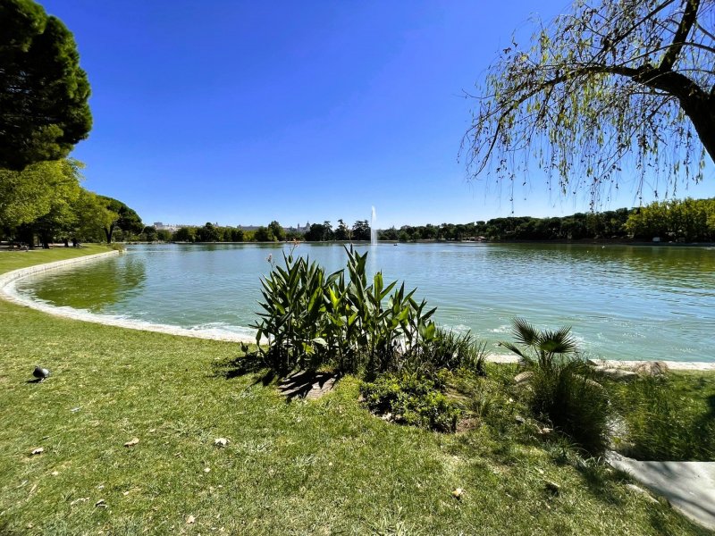 Madrid: velké umělé jezero Lago de la Casa de Campo slouží jako tréninkové centrum pro kanoistiku.